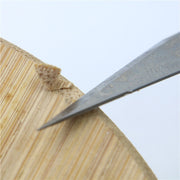 Utility Carving Knife