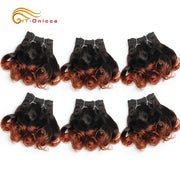 Htonicca Curly Hair Bundles 8 Inch Ombre Brazilian